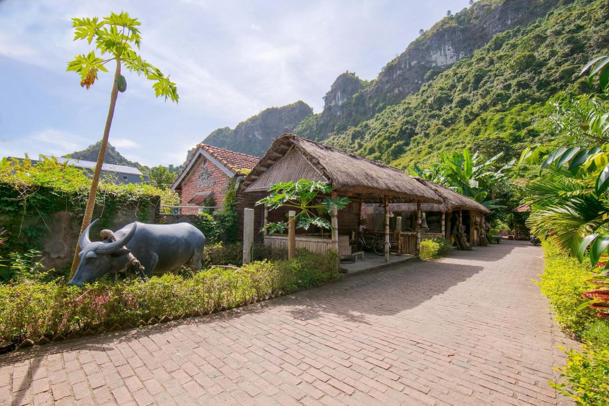 Viet Hai Lan Homestay Trung Trang Экстерьер фото
