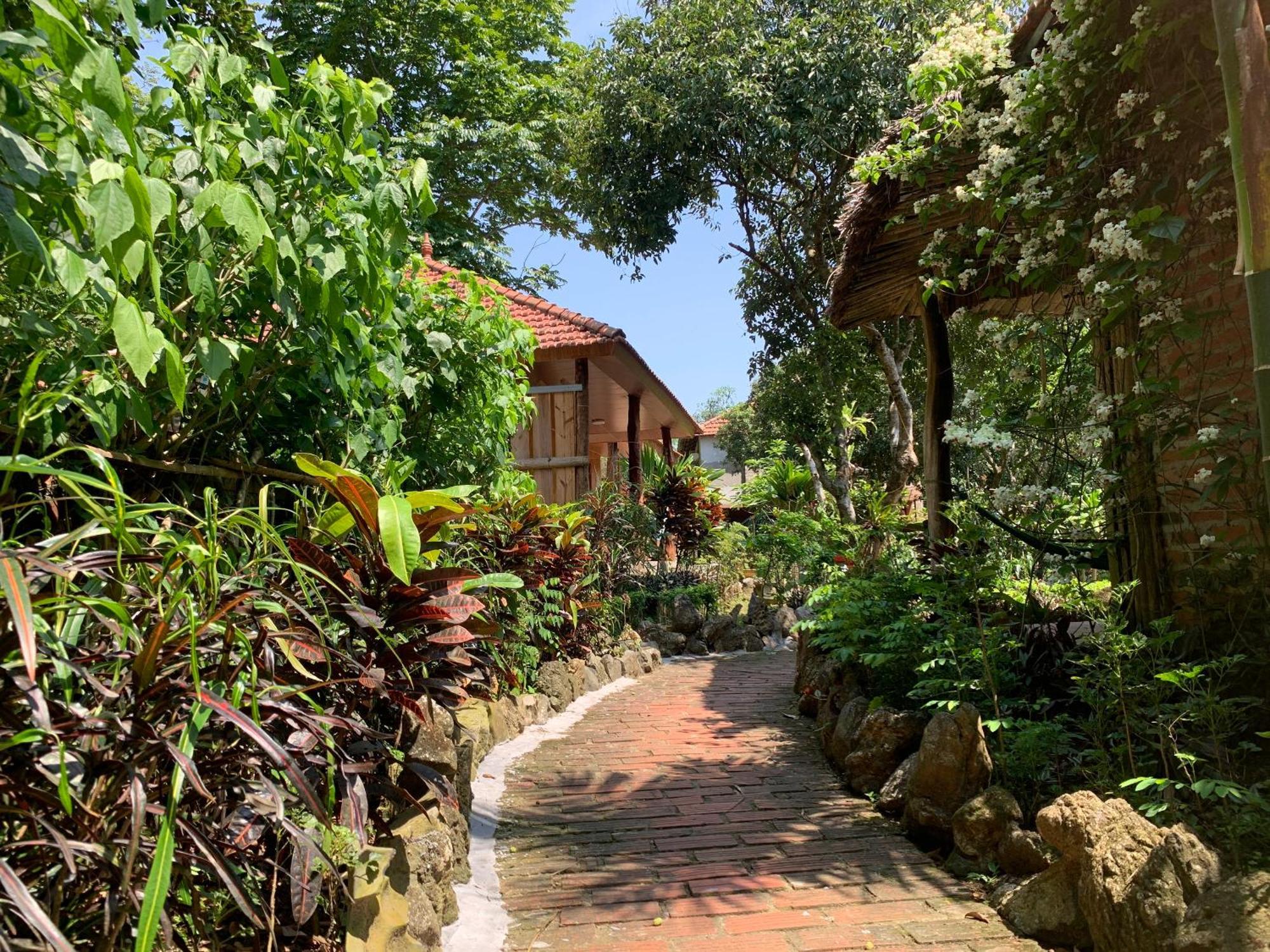Viet Hai Lan Homestay Trung Trang Экстерьер фото